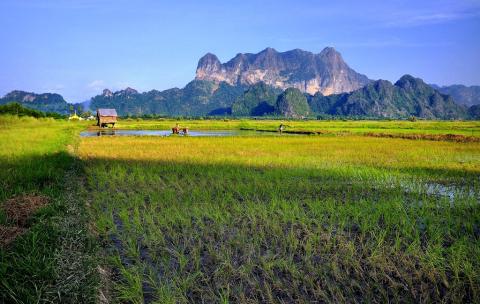 လှိုင်းဘွဲ့မြို့နယ်