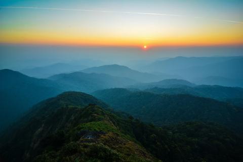 ဝေါလေမြို့