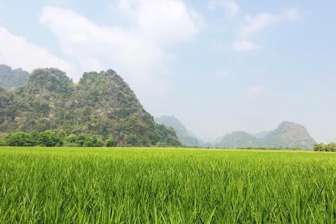 ကြာအင်းဆိပ်ကြီးမြို့နယ်