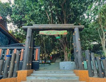 ဘားမဲတောင်ရုက္ခဗေဒသဘာဝအ ပန်းဖြေဥယျာဉ် (Hpa-Mal Botanical Gardens)