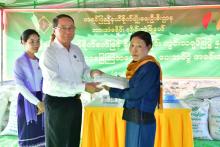 နွေစပါးကောက်စိုက်စက်ဖြင့်စိုက်ပျိုးခြင်းကွင်းသရုပ်ပြ တောင်သူများအား ယူရီးယားနှင့်သဘာဝမြေဩဇာများ ထောက်ပံ့