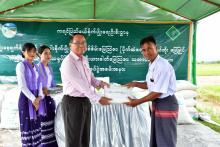 မျိုးစေ့ချကိရိယာဖြင့် မိုးစပါးစိုက်ပျိုးခြင်း ကွင်းသရုပ်ပြ