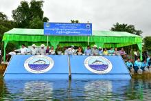 လှာကဒေါင်ရေလျှံကွင်းအတွင်း ငါးသားပေါက် ကောင်ရေတစ်သိန်းနှစ်သောင်းကို ငါးမျိုးစိုက်ထည့်