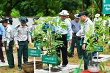 ဘားအံတက္ကသိုလ် ပတ္တမြားနယ်မြေ၌ မိုးရာသီ(ပဥ္စမအကြိမ်)သစ်ပင်စိုက်ပွဲအနေဖြင့် သစ်မျိုးစုံ(၆၃၈)ပင်စိုက်ပျိုး