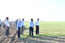 ရေကြီးနစ်မြုပ်ပျက်စီးလယ်မြေများတွင် ဆောင်းဆီထွက်သီးနှံမြေပဲများ ပြန်လည်အစားထိုးစိုက်ပျိုး