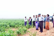 ပြည်နယ်ဝန်ကြီးချုပ်ဦးစောမြင့်ဦး အောင်မြင်ဖြစ်ထွန်းနေသော ဆောင်းသီးနှံနှင့်ဟင်းသီးဟင်းရွက်စိုက်ခင်းများအား ကြည့်ရှုအားပေး