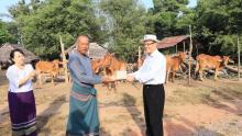 ကရင်ပြည်နယ်ဝန်ကြီးချုပ်ဦးစောမြင့်ဦး စိုက်ပျိုးမွေးမြူရေးထုတ်ကုန်များတိုးမြှင့်ထုတ်လုပ်နိုင်ရေး ကွင်းဆင်းကြည့်ရှုအားပေး
