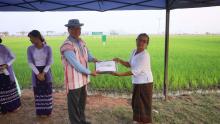 သမ္ဘာန်ကျေးရွာတွင် သဘာဝမြေဩဇာနှင့်ဓာတ်မြေဩ ဇာအချိုးကျရောစပ်စုပေါင်းကြဲပက်ခြင်းကွင်းသရုပ်ပြ