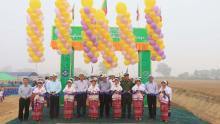 စိုက်ဧက(၂၀၀)ကျော်ကိုအကျိုးပြုမည့် ကရင်ဖာလင်ကျေးရွာ ကုန်ထုတ်လမ်းသစ်ဖွင့်