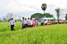 ကရင်ပြည်နယ်ဝန်ကြီးချုပ်ဦးစောမြင့်ဦး ဘားအံမြို့နယ်အတွင်း စိုက်ပျိုးမွေးမြူရေးကဏ္ဍဖွံ့ဖြိုးရေး ကြည့်ရှုအားပေး