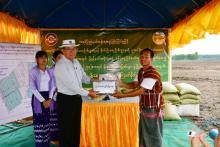 စက်မှုလယ်ယာစနစ်ကျလယ်မြေ(၂၇၃)ဧကတွင် မိုးစပါးရာသီမြေဆီလွှာဖွံ့ဖြိုးတိုးတက်ရေး သစ်စိမ်းမြေဩဇာ (ပိုက်ဆံလျှော်)မျိုးစေ့ပေးအပ်ပြီး ကြဲပက်စိုက်ပျိုး