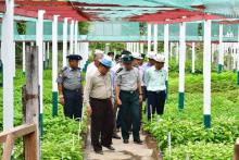 အခြေခံပညာကျောင်းများတွင် စုပေါင်းသန့်ရှင်းရေးလုပ်ငန်းများဆောင်ရွက် ယခုနှစ်မိုးရာသီတွင်ပျိုးပင်ပေါင်း ၂၁၅၀၀၀ စိုက်ပျိုးမည်