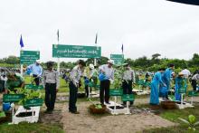 ကရင်ပြည်နယ် မိုးရာသီ(ဒုတိယအကြိမ်)သစ်ပင်စိုက်ပွဲကျင်းပ