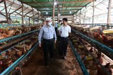 ကရင်ပြည်နယ်ဝန်ကြီးချုပ်ဦးစောမြင့်ဦး စိုက်ပျိုးရေးနှင့်မွေးမြူရေးကဏ္ဍဖွံ့ဖြိုးရေး ကွင်းဆင်းကြည့်ရှုအားပေး