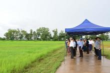 ကရင်ပြည်နယ်ဝန်ကြီးချုပ်ဦးစောမြင့်ဦး ရေကြီးရေလျှံမှုကြောင့် ထိခိုက်ပျက်စီးမိုးစပါးနှင့် လမ်း/တံတားများ ကြည့်ရှုစစ်ဆေး