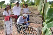 နှစ်(၇၀)ပြည့် ကရင်ပြည်နယ်နေ့ကို ကြိုဆိုဂုဏ်ပြုသောအားဖြင့် ဘားအံစက်မှုဇုန်၌ စက်ရုံအသစ်(၂)ရုံ ပန္နက်တင်