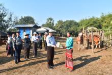 ကရင်ပြည်နယ်ဝန်ကြီးချုပ်ဦးစောမြင့်ဦး ဒေသတွင်းစိုက်ပျိုးမွေးမြူရေးလုပ်ငန်းများ ကြည့်ရှုအားပေး