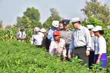 ထုံးအိုင်တိုက်နယ်မှ စိုက်ပျိုးထွက်ရှိသော ဆောင်းသီးနှံများကို ဘားအံမြို့နှင့်ပတ်ဝန်းကျင်ဒေသများသို့ တင်ပို့ရောင်းချ 