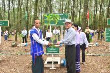 ကရင်ပြည်နယ်၌ (၅)နှစ်အတွင်း ကော်ဖီ ၅၃၀၀ ဧကတိုးချဲ့စိုက်ပျိုးသွားမည်ဖြစ်ပြီး ယခုနှစ်တွင် ၁၁၁၅ ဧက စိုက်ပျိုးမည်