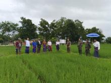 မိုးစပါလျာထားဧကပြည့်မီကျော်လွန်ရေးနှင့်အထွက်နှုန်းတိုးတက်ရရှိရေး ကြိုးပမ်းဆောင်ရွက်