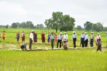 မိုးစပါးလျာထားဧကပြည့်မီကျော်လွန်ရေးနှင့်အထွက်နှုန်းတိုးတက်ရရှိရေးဆောင်ရွက်