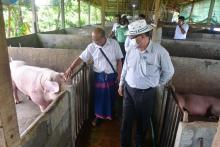 ကရင်ပြည်နယ်ဝန်ကြီးချုပ်ဦးစောမြင့်ဦး ယခုနှစ်အတွင်း အသားပိဿာချိန် ကိုးသောင်းကျော် မွေးမြူထုတ်လုပ်ထားသော မိဇံ(ဝက်/ဆိတ်)မွေးမြူရေးဇုန်အား ကြည့်ရှုစစ်ဆေး