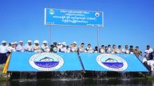 ဘားအံမြို့နယ်၊ ရသဝေါကျေးရွာ ပါရမီအင်းအတွင်း ငါးမျိုးစိုက်ထည့်
